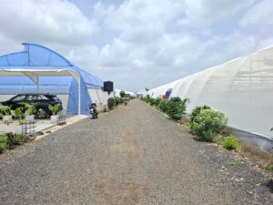 Vidarbha Hitech Nursery