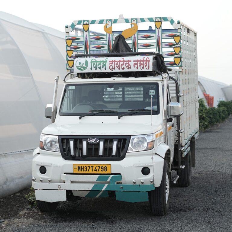 Delivery Truck