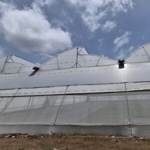 Nursery Polyhouse