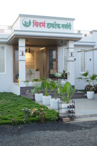 Vidarbha Hitech Nursery Entrance