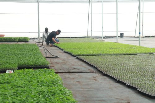 nursery internal3